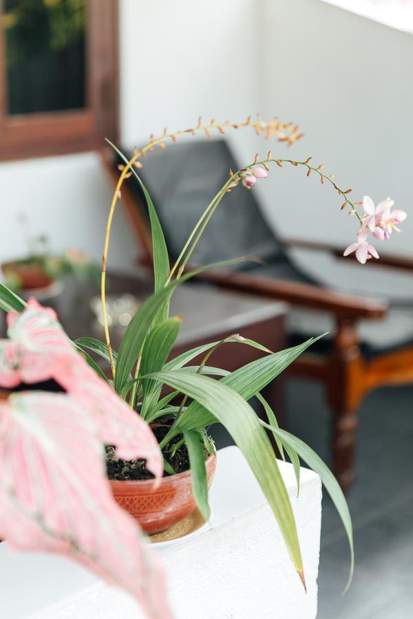 Bedspace Unawatuna Bagian luar foto