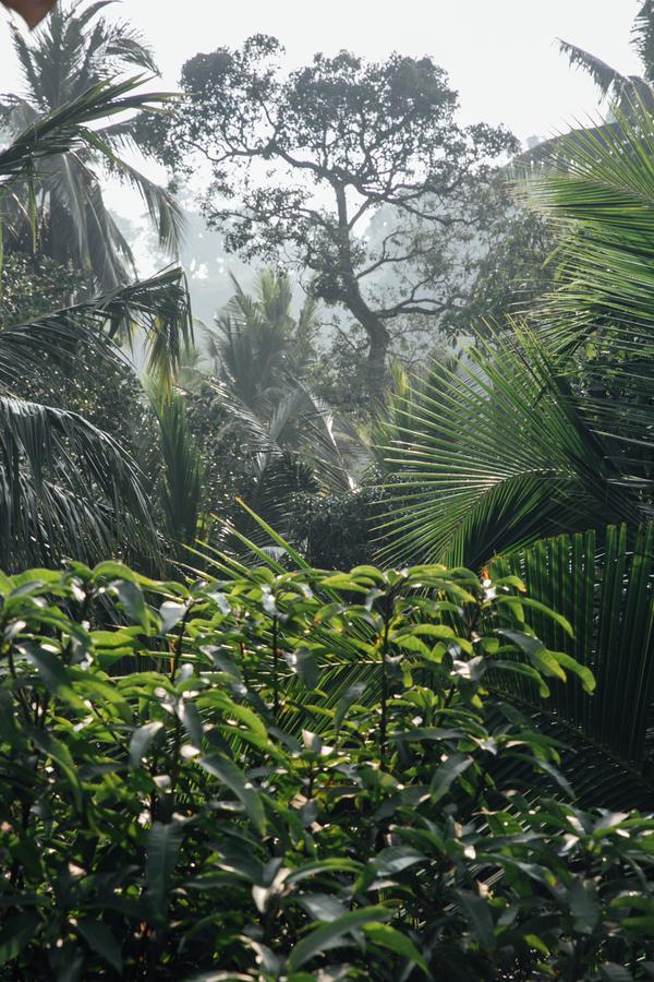 Bedspace Unawatuna Bagian luar foto